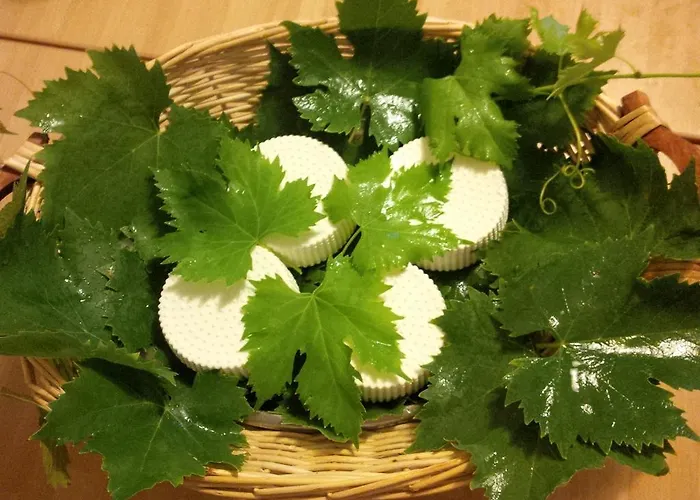 Agriturismo San Giusto