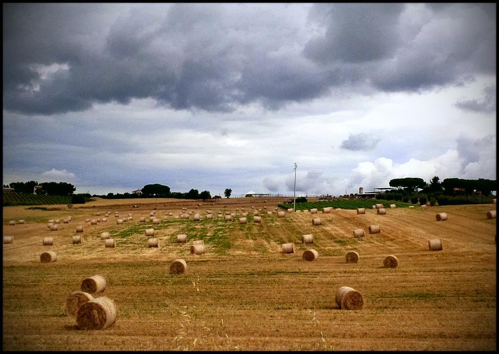 Séjour à la ferme San Giusto *