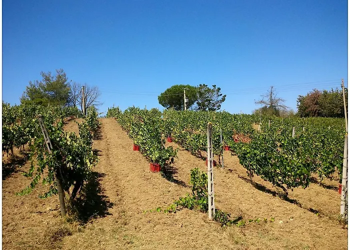 Agriturismo San Giusto