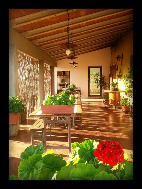 Farm stay San Giusto