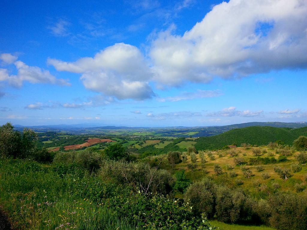 Farm stay San Giusto *