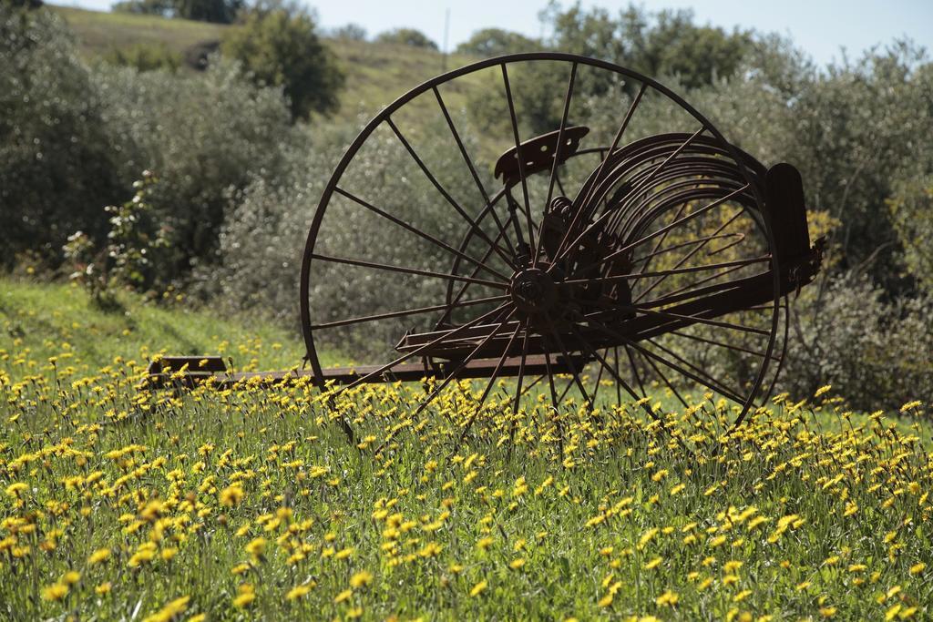 San Giusto